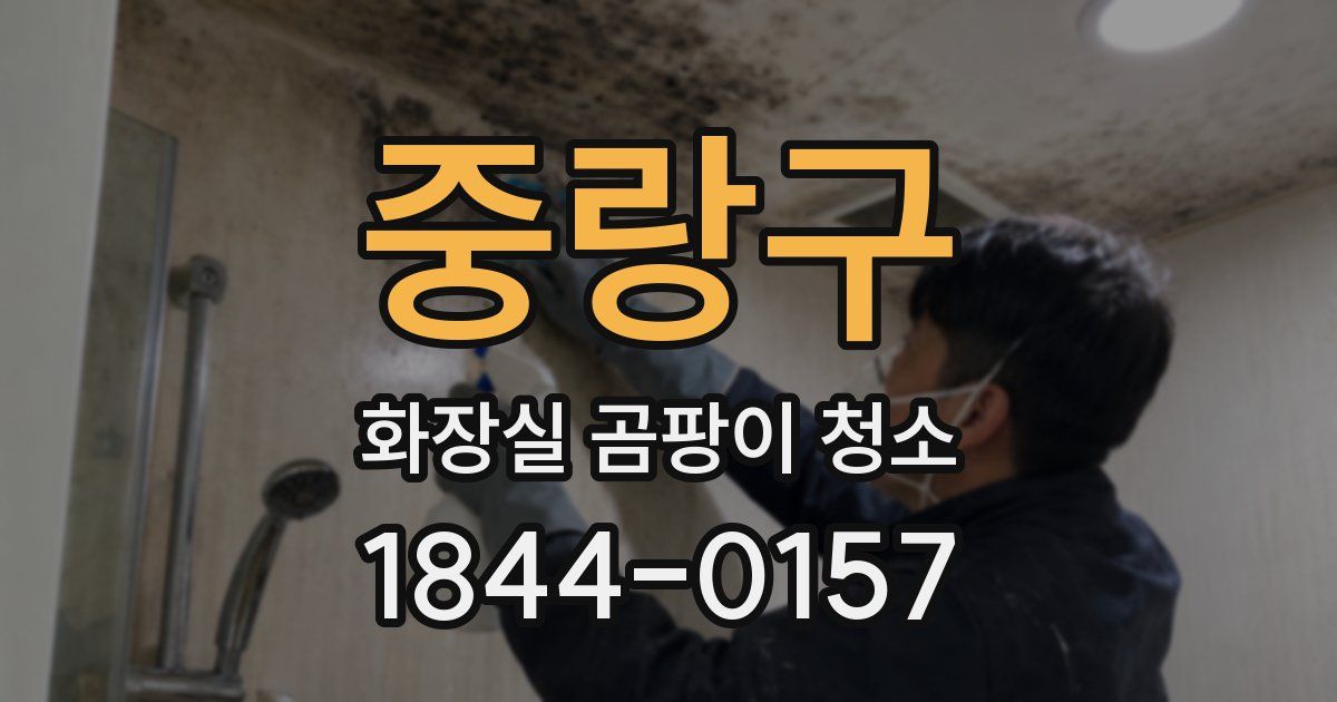 중랑구 화장실 곰팡이 청소