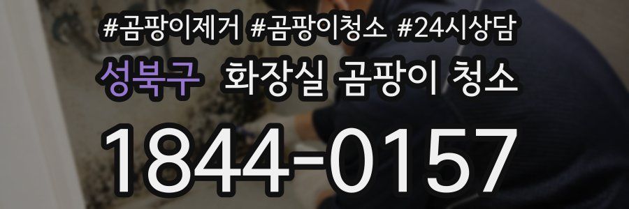 성북구 화장실 곰팡이 청소