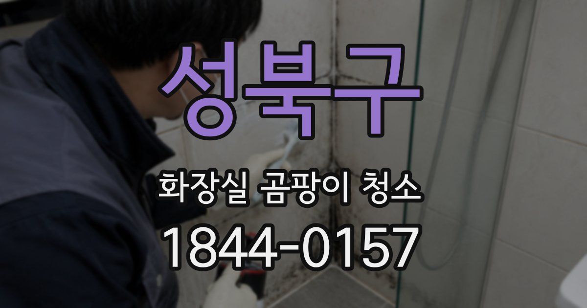 성북구 화장실 곰팡이 청소