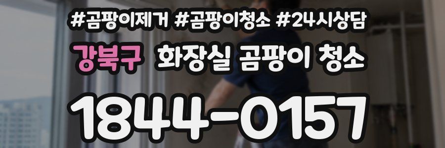 강북구 화장실 곰팡이 청소