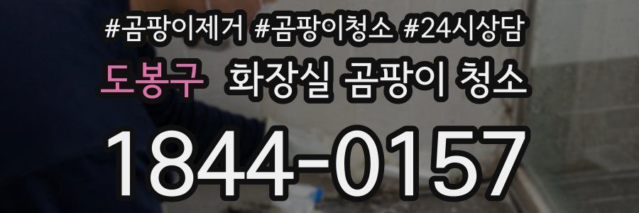 도봉구 화장실 곰팡이 청소