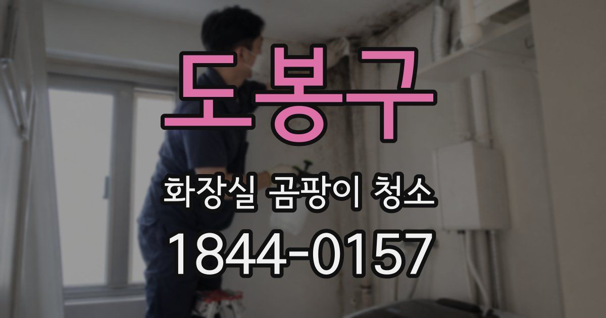 도봉구 화장실 곰팡이 청소