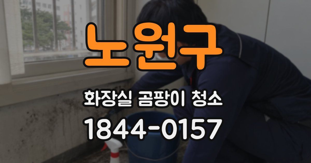 노원구 화장실 곰팡이 청소