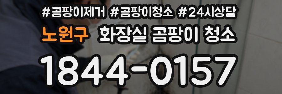 노원구 화장실 곰팡이 청소