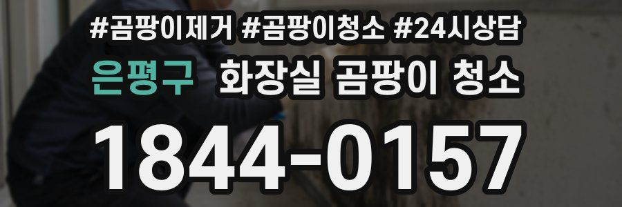 은평구 화장실 곰팡이 청소