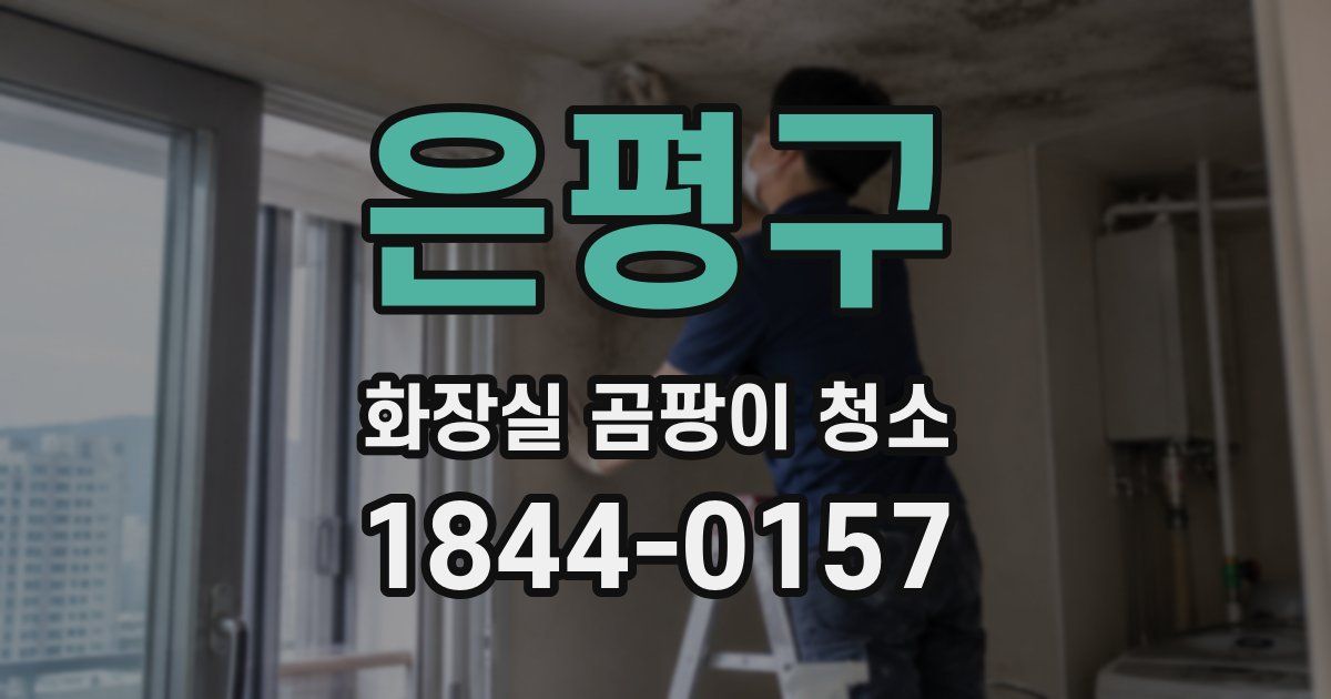 은평구 화장실 곰팡이 청소