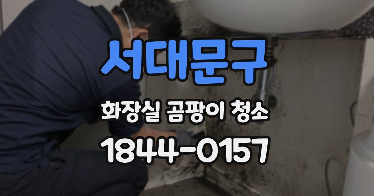 서대문구 화장실 곰팡이 청소