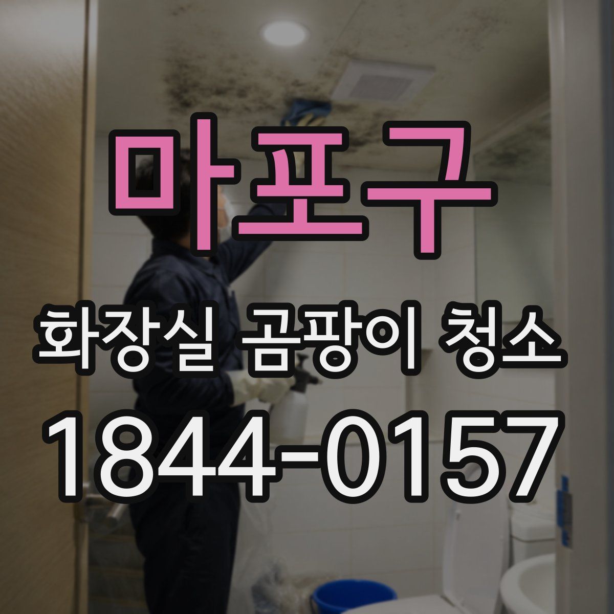 마포구 화장실 곰팡이 청소