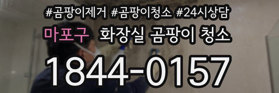 마포구 화장실 곰팡이 청소