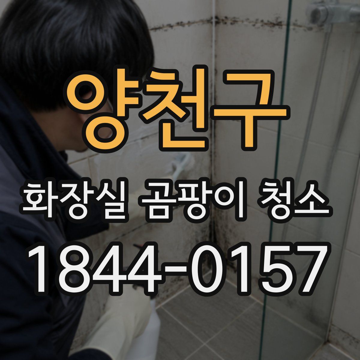 양천구 화장실 곰팡이 청소