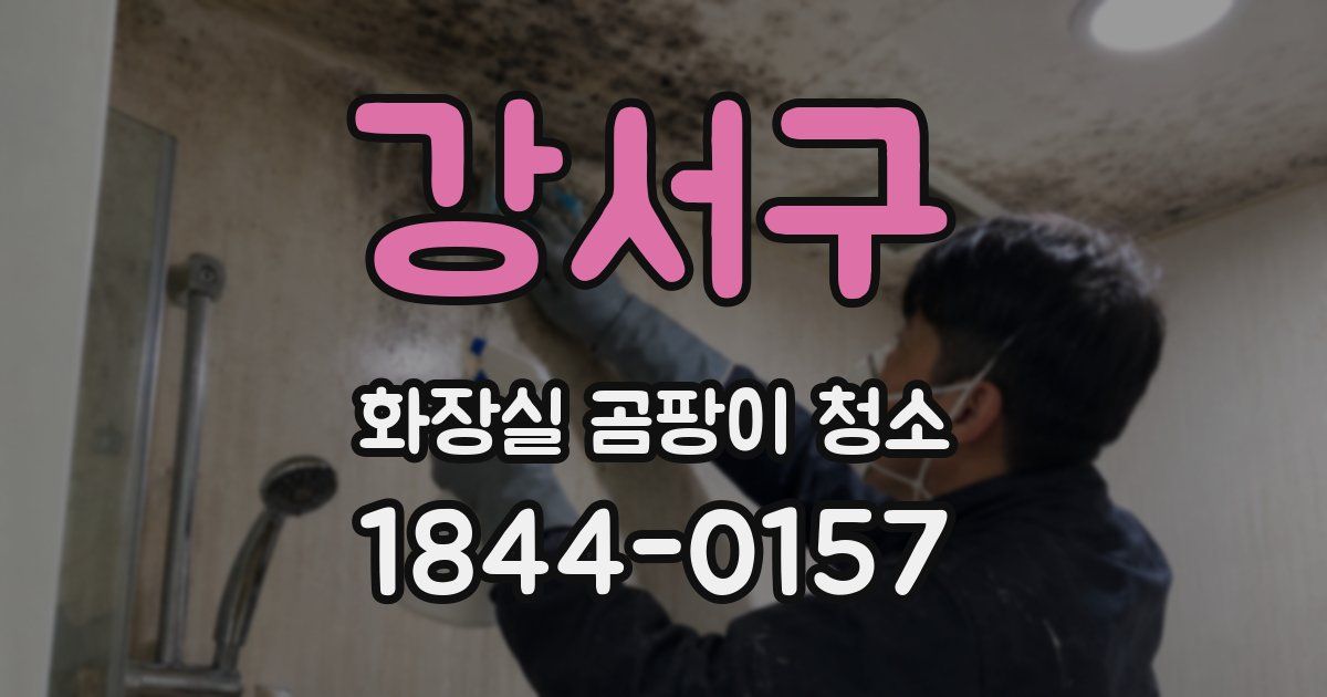 강서구 화장실 곰팡이 청소