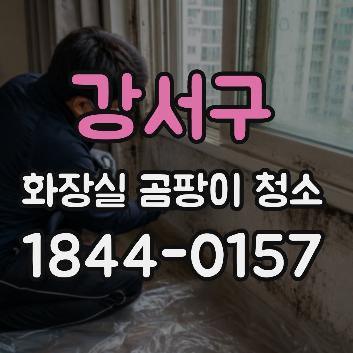 강서구 화장실 곰팡이 청소