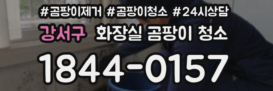 강서구 화장실 곰팡이 청소