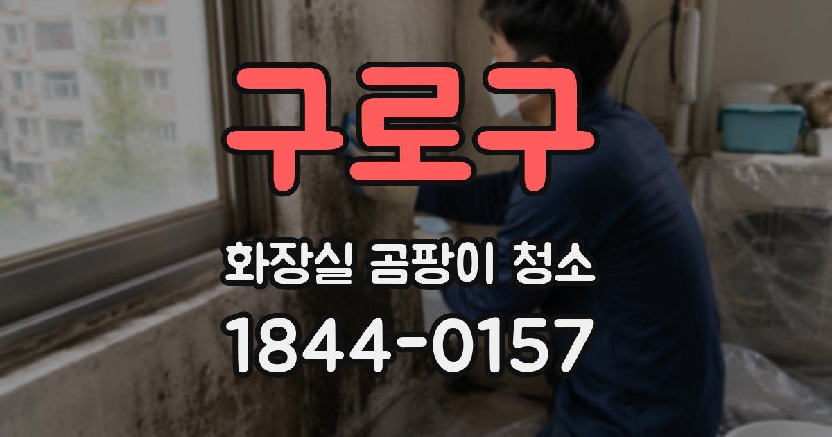 구로구 화장실 곰팡이 청소