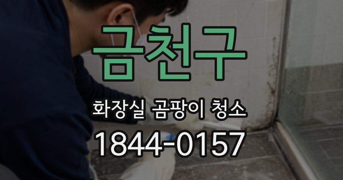 금천구 화장실 곰팡이 청소