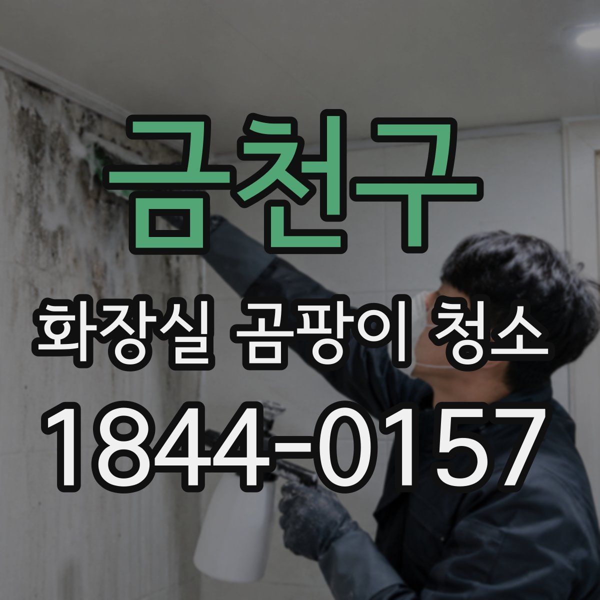 금천구 화장실 곰팡이 청소