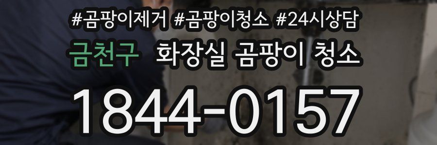 금천구 화장실 곰팡이 청소