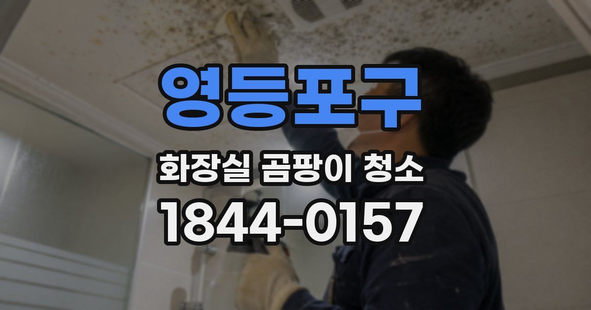 영등포구 화장실 곰팡이 청소