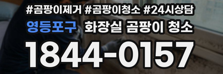 영등포구 화장실 곰팡이 청소