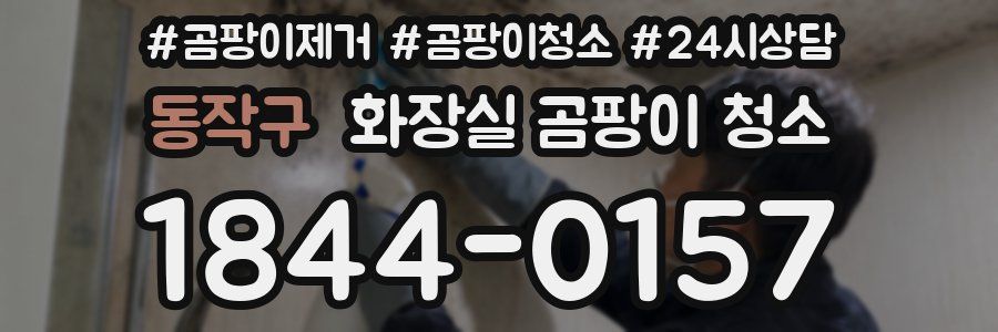 동작구 화장실 곰팡이 청소