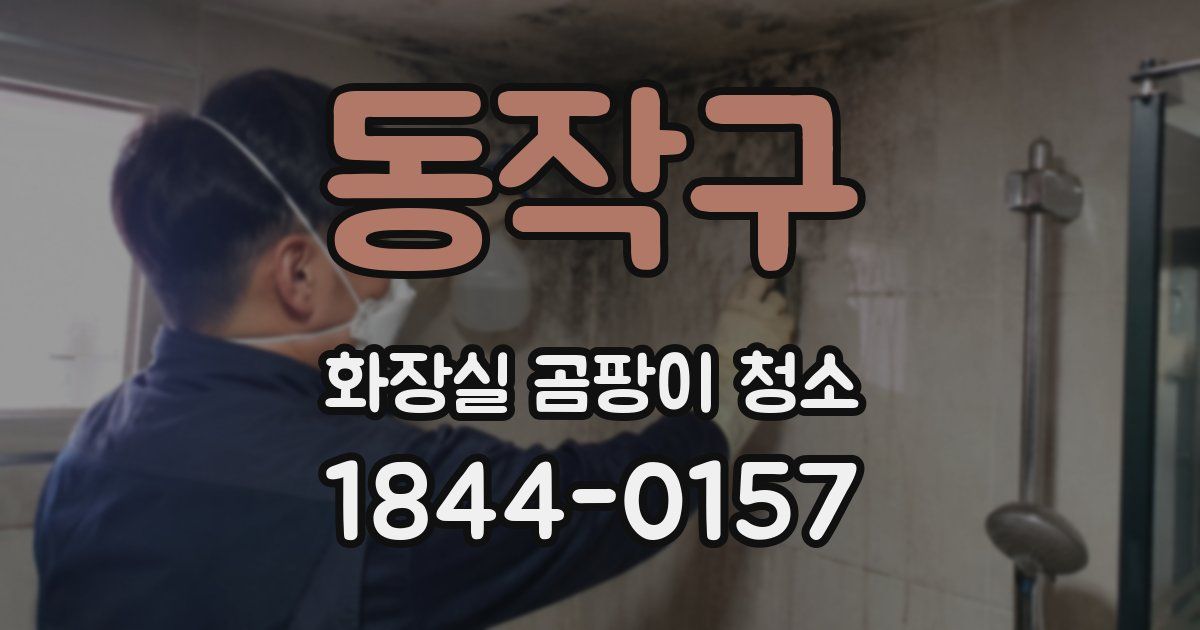 동작구 화장실 곰팡이 청소