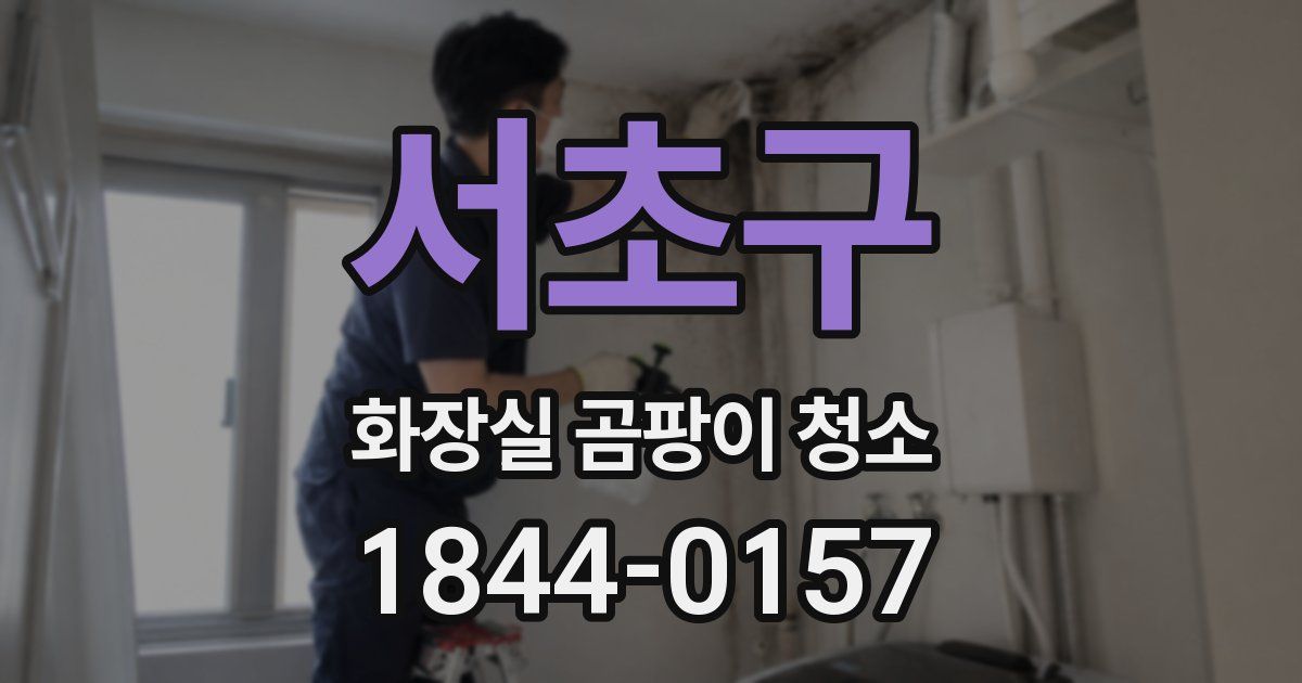 서초구 화장실 곰팡이 청소
