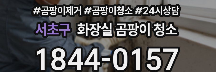 서초구 화장실 곰팡이 청소