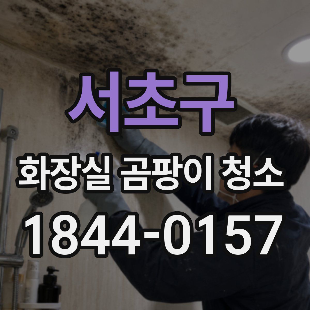 서초구 화장실 곰팡이 청소