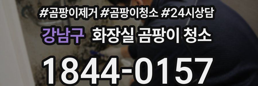 강남구 화장실 곰팡이 청소