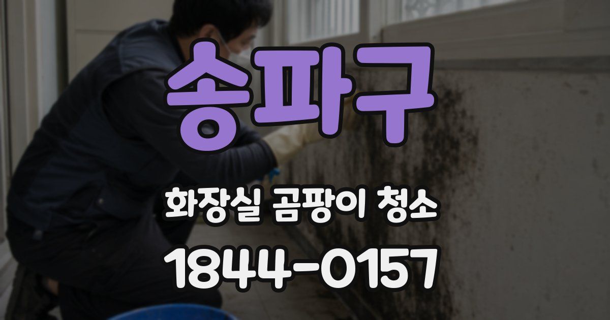 송파구 화장실 곰팡이 청소