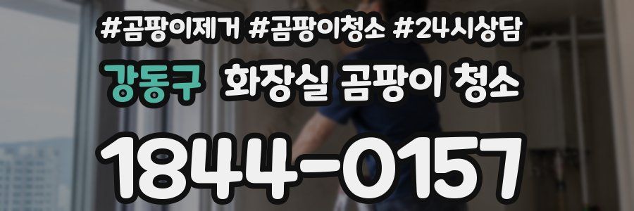 강동구 화장실 곰팡이 청소