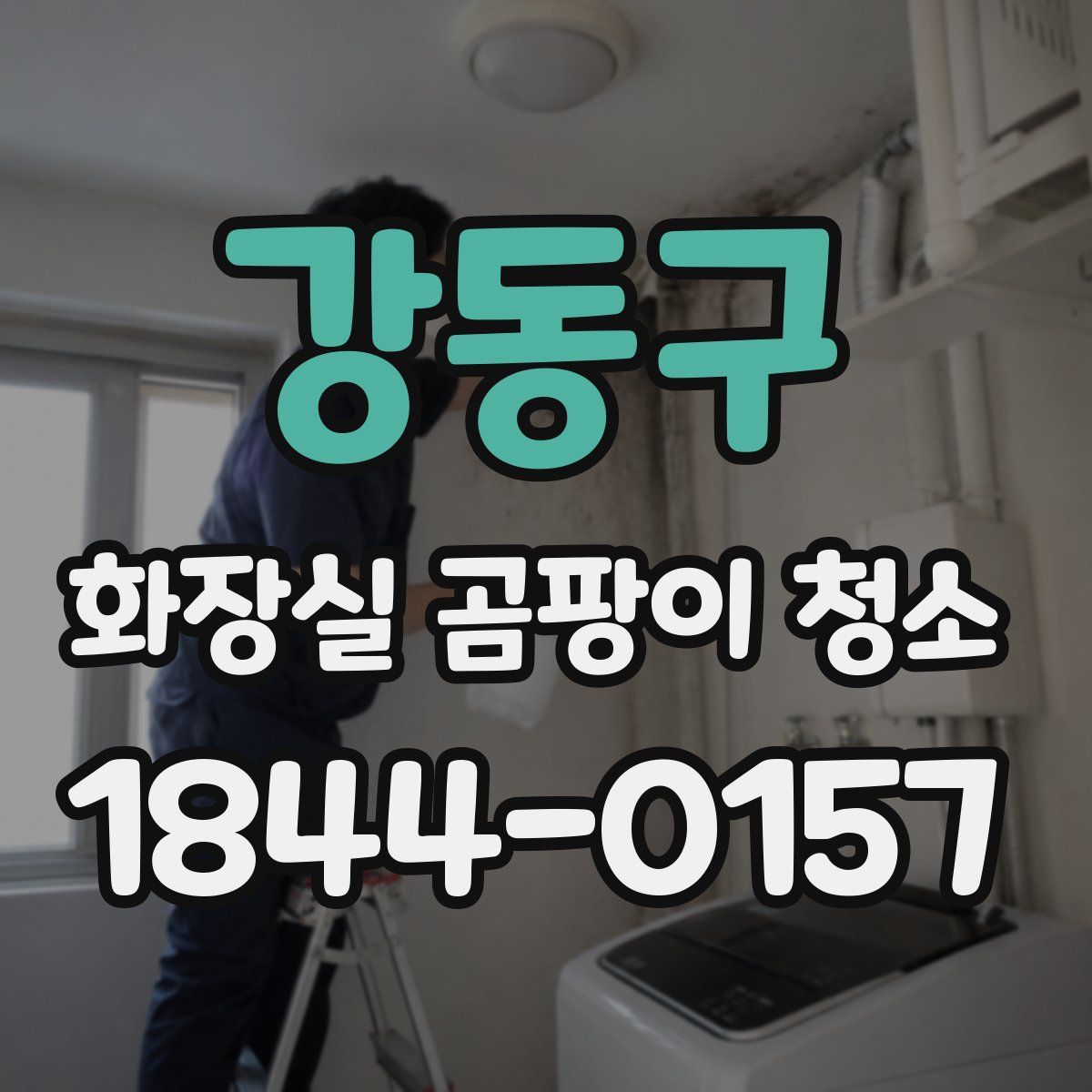강동구 화장실 곰팡이 청소