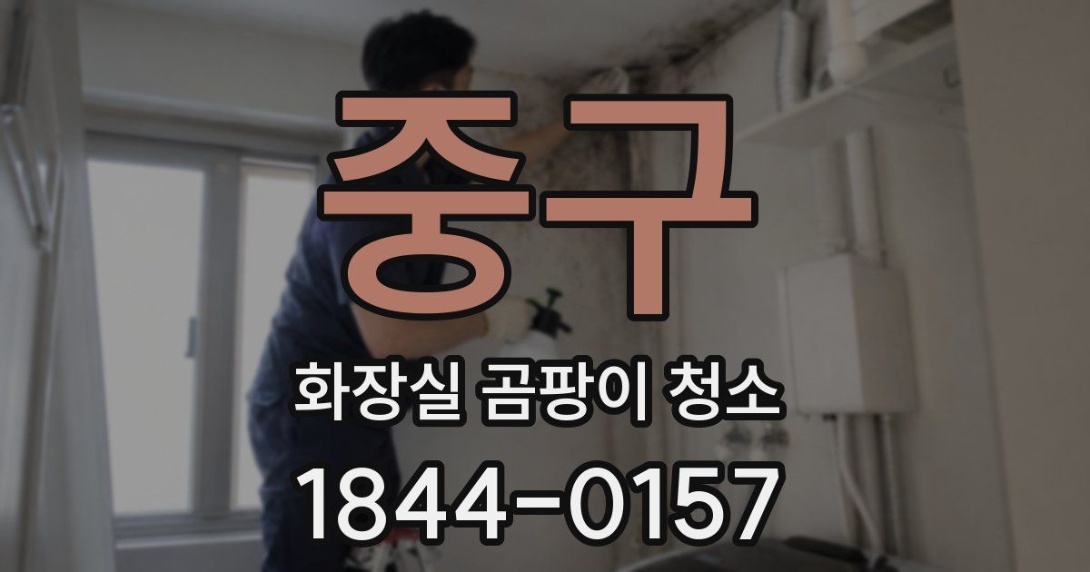 중구 화장실 곰팡이 청소