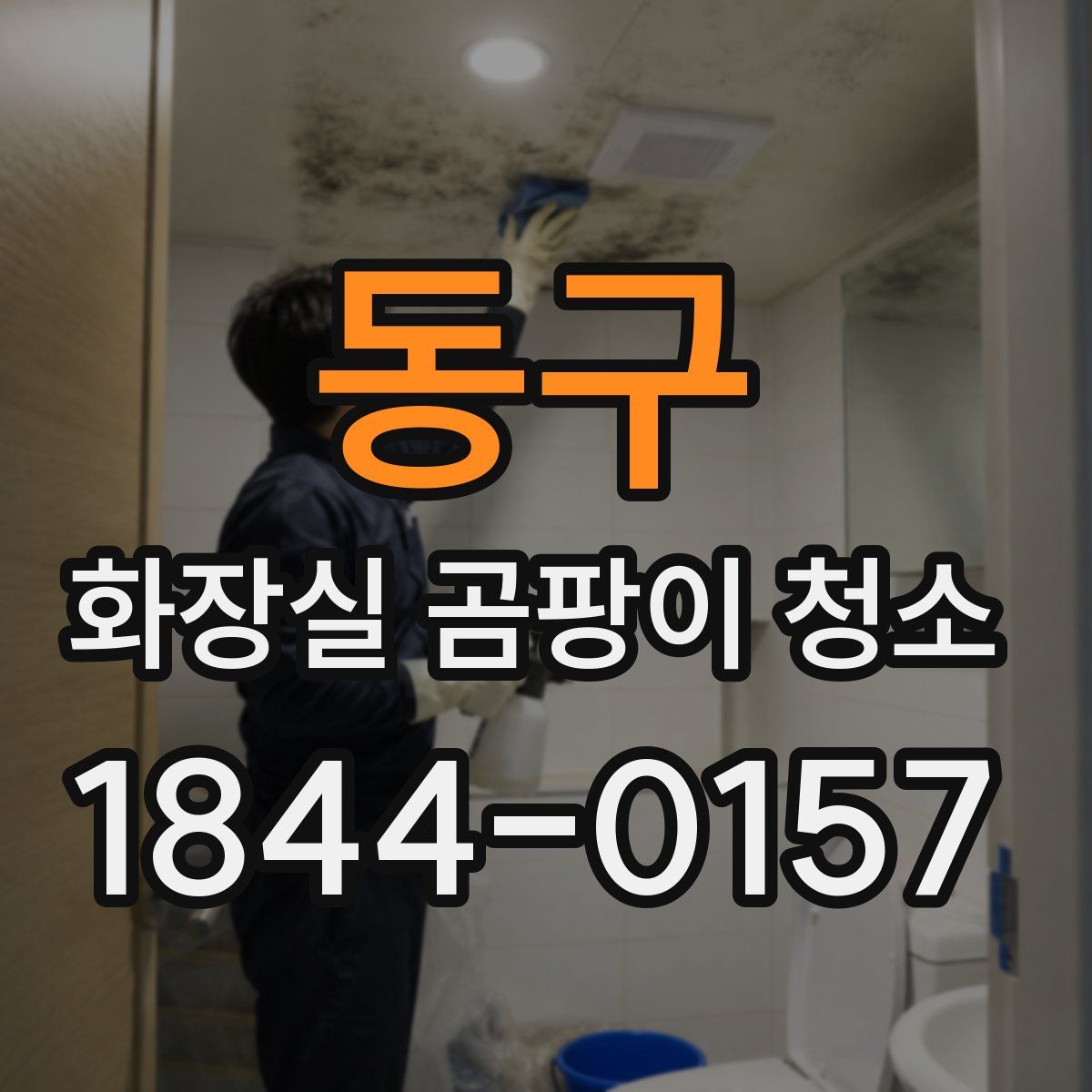 동구 화장실 곰팡이 청소