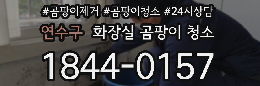 연수구 화장실 곰팡이 청소