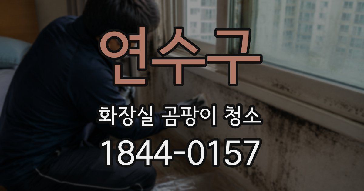 연수구 화장실 곰팡이 청소