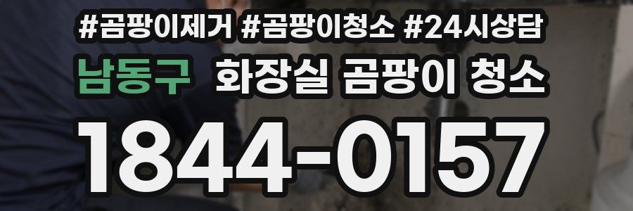 남동구 화장실 곰팡이 청소
