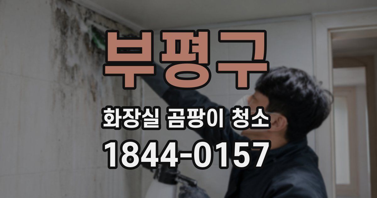 부평구 화장실 곰팡이 청소