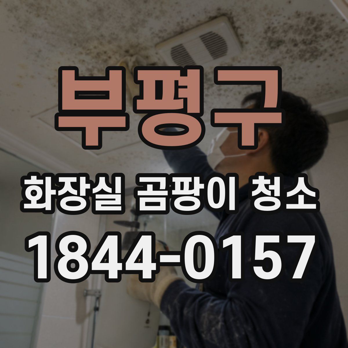 부평구 화장실 곰팡이 청소
