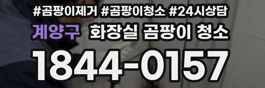 계양구 화장실 곰팡이 청소