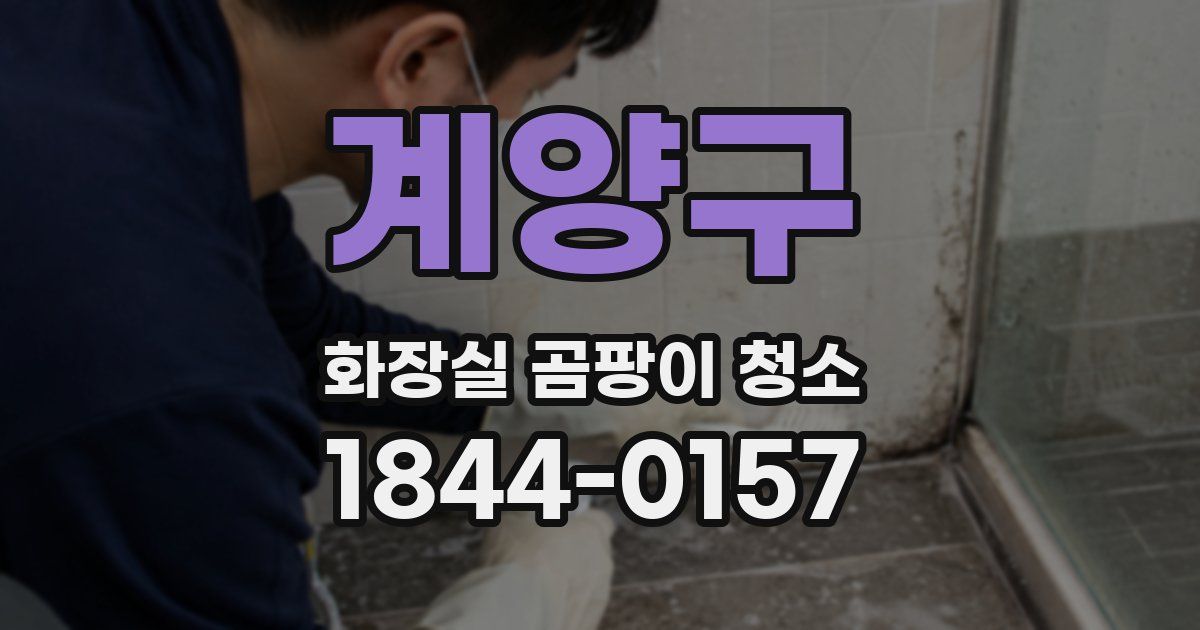 계양구 화장실 곰팡이 청소