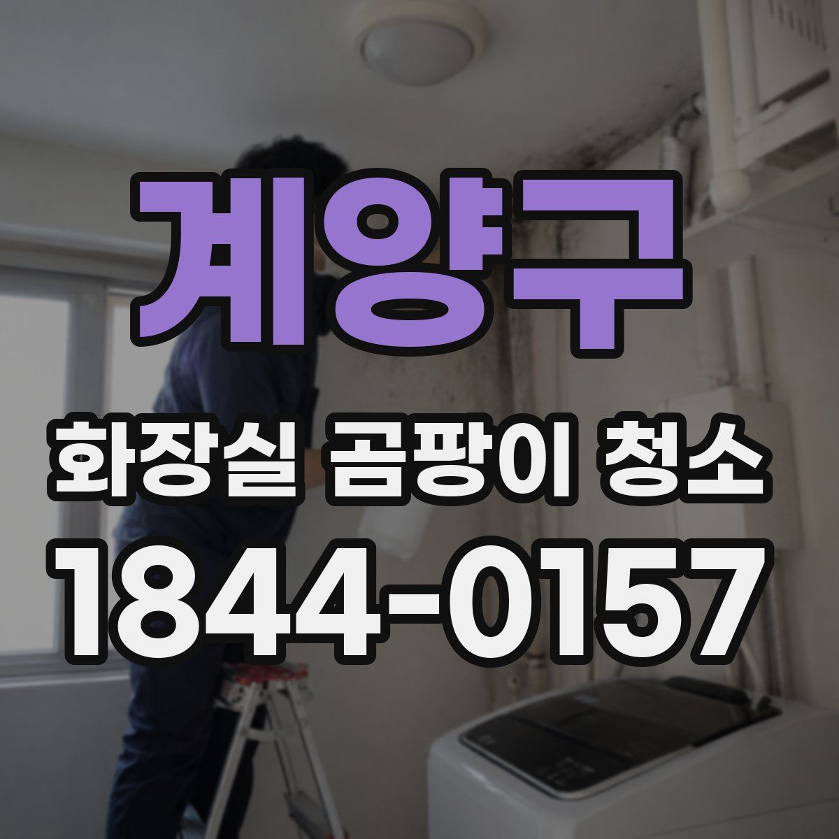 계양구 화장실 곰팡이 청소