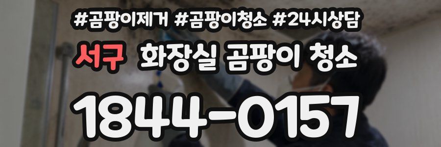 서구 화장실 곰팡이 청소