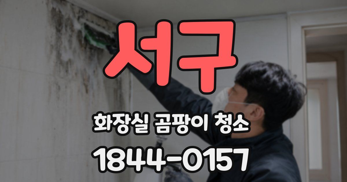 서구 화장실 곰팡이 청소
