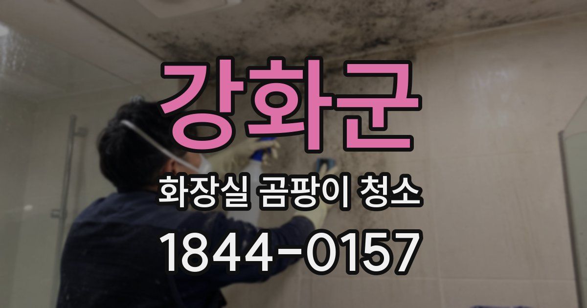 강화군 화장실 곰팡이 청소