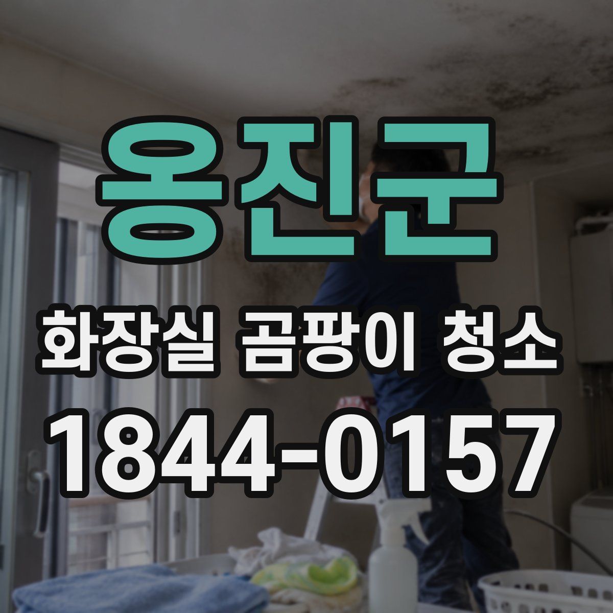 옹진군 화장실 곰팡이 청소