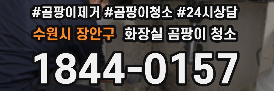 수원시 장안구 화장실 곰팡이 청소