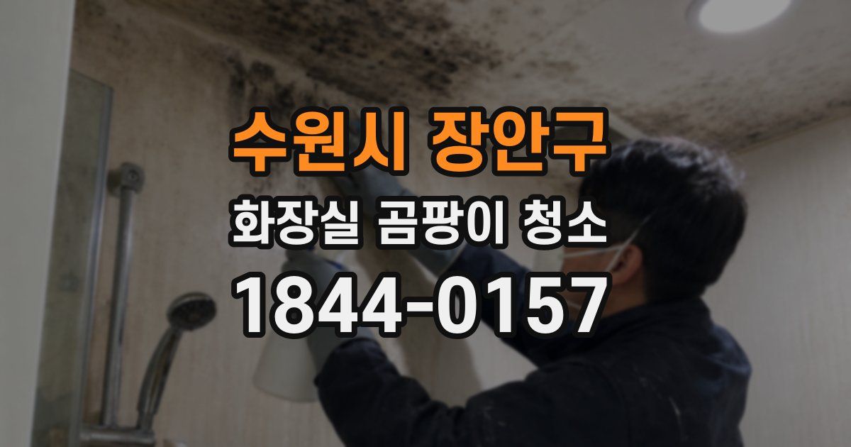 수원시 장안구 화장실 곰팡이 청소