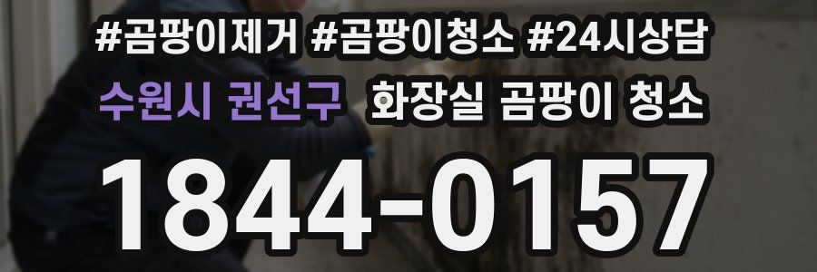 수원시 권선구 화장실 곰팡이 청소