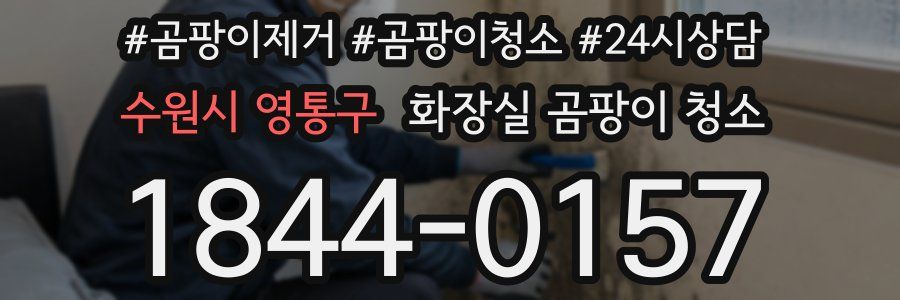 수원시 영통구 화장실 곰팡이 청소